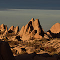 Jumbo Rocks in Joshua Tree 